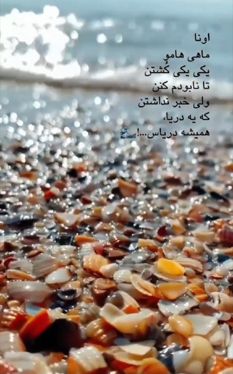 یه‌دریا.......همیشه‌دریاست💪🏻😉