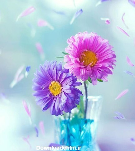 سلام شبت قشنگ زندگی❣💐