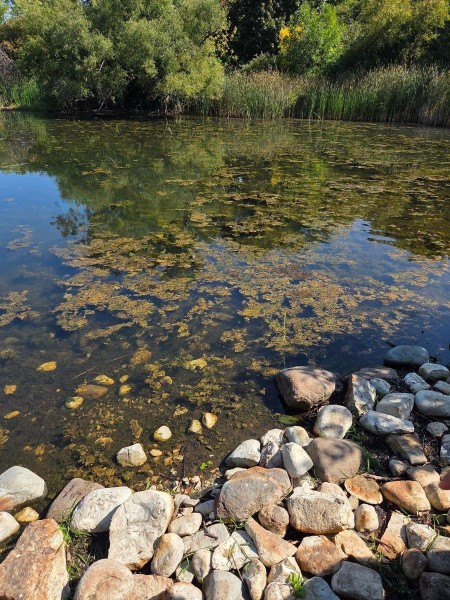 زیبایی رودخونه ماسوله😍🥰