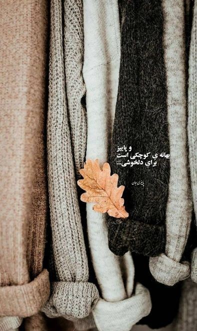 🍁🍂💔