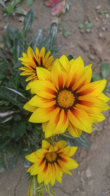 امروز یه متنی خوندم خیلی قشنگ بود 