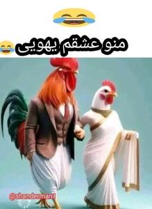 😂😂😂