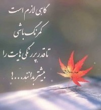عکاس خونه 