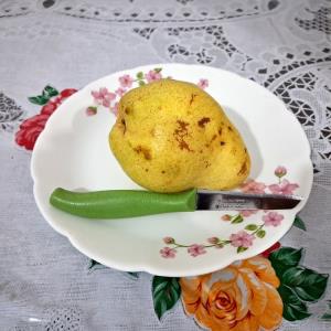 جولابی کی دوست داره؟😉😋