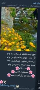 😊🌹😊🌹💚💚💚