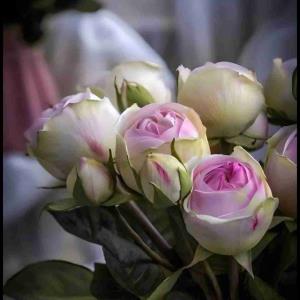 💫شبتون زیبا💫