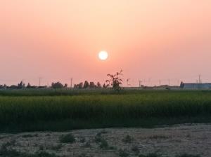 غروب زیبای شمال🌲🌲🌲