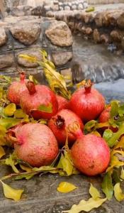 🍂 شهریور عاشق انار بود؛!