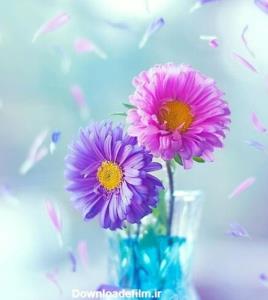 سلام شبت قشنگ زندگی❣💐