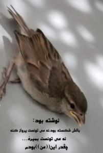 مادر که باشی