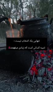 🌹✨️