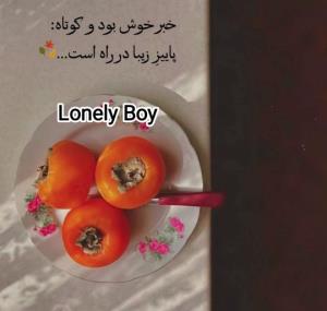 خبر خوش است و کوتاه:
         پاییز در راه است ....🍁