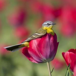کاش می‌شد از بوها
‏از صداها
‏از جای خالی آدم‌ها
‏برای روزها