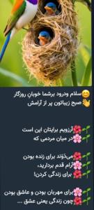 سلام صبح بخیر به همه دوستان روزتان پراز برکت و شادی😊🌹