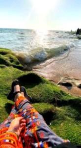 🌅🌊
