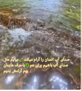 بیاییم برای هم آرامش ایجاد کنیم 🙏🏾🙏🏾🌹🌲🌹🌲🌹🌲