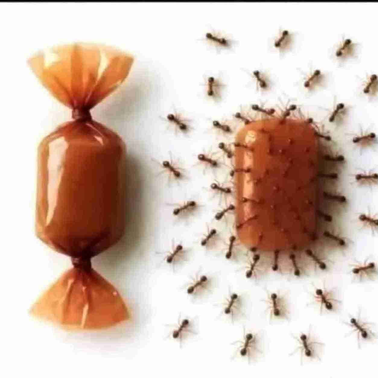 بودونبودپوشش مناسب!!!!!!!