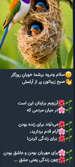 سلام صبح بخیر به همه دوستان روزتان پراز برکت و شادی😊🌹