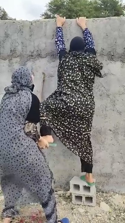 میرن باغ انار دزدی یا تماشای دعوای همساده😂