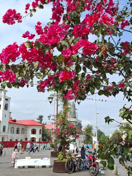زیبایی رشت🥰😍
