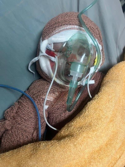 نه دانشمند بود...
نه نظامی بود...
هنوز زبان به سخن هم باز نک