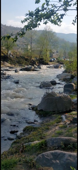 طبیعت زیبای رامسر🍸🌳