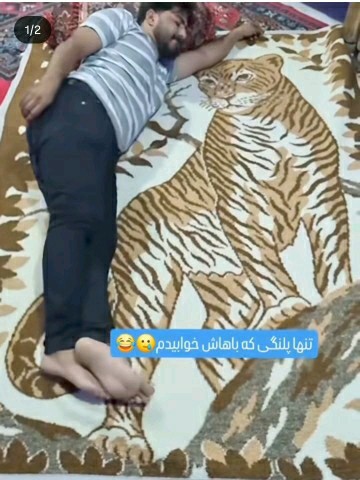 😂😂😂😂