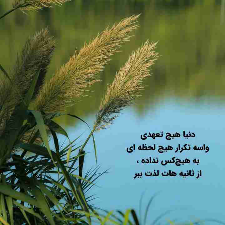از ثانیه ها لذت ببر دوست من... 