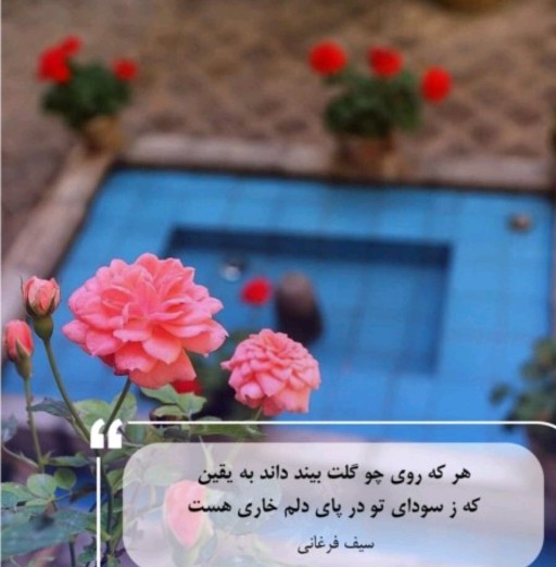 سودای تو 