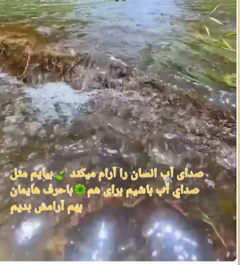 بیاییم برای هم آرامش ایجاد کنیم 🙏🏾🙏🏾🌹🌲🌹🌲🌹🌲