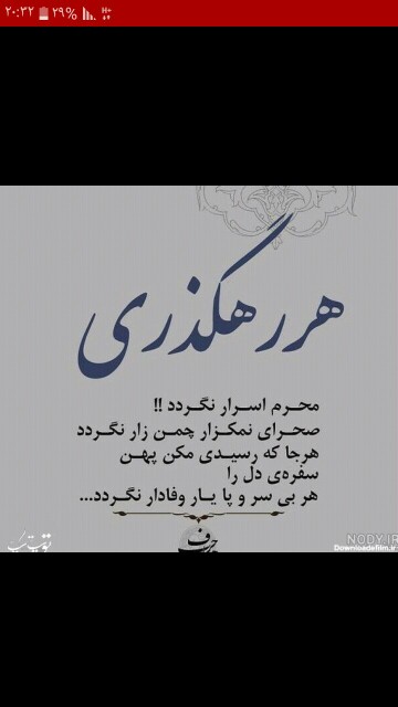 حکیمانه