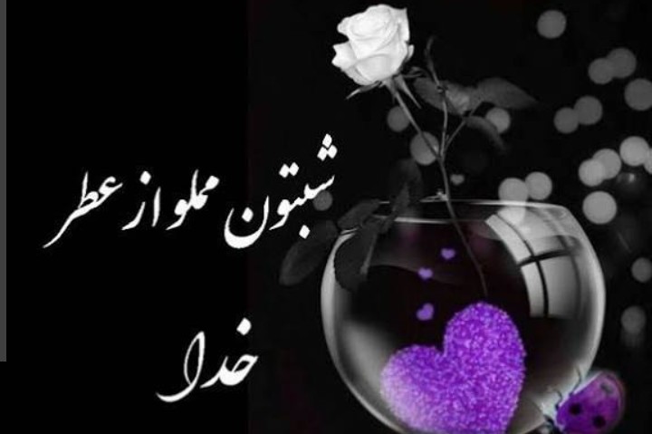 سعید🌜🌛