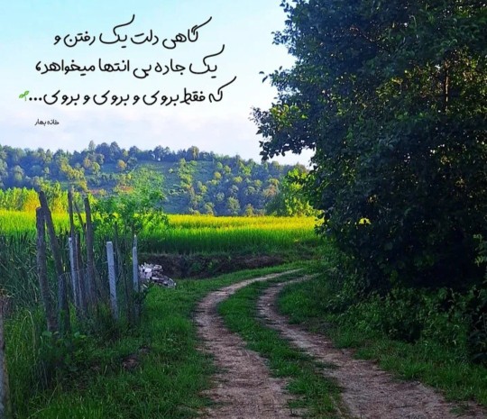 گاهی...