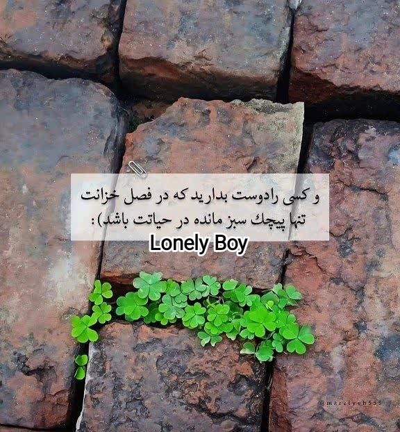 کسی را دوست بدارید ک ...