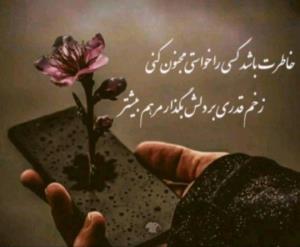 شعر 