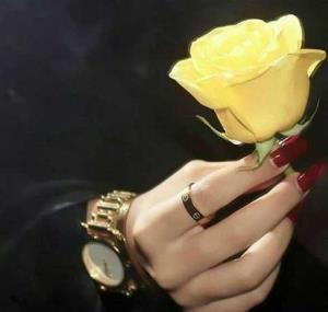 💐♥️🔥