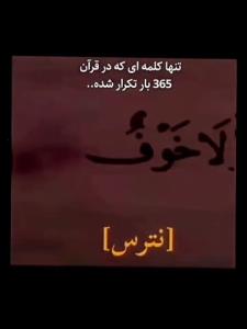 برای تک تک روزهای سال،