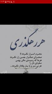 حکیمانه