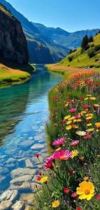 واقعا‌زیبا
