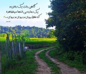گاهی...