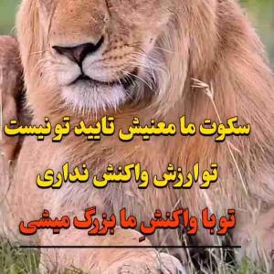 سکوت ما معنیش تایید تو نیست 