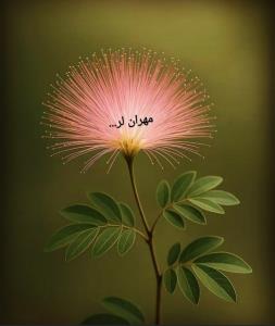 مهران لر....😕😢👈👌👌👌