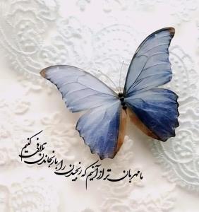 حرف حساب...