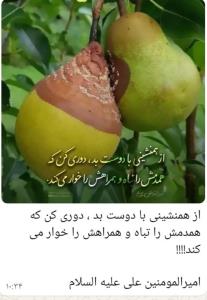 از همنشینی با دوست بد دوری کن
