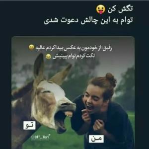 😂😂😂😂😂😂😂