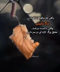حق👍