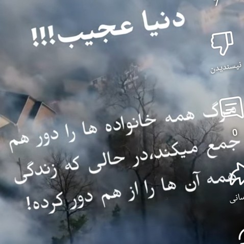عجیبه