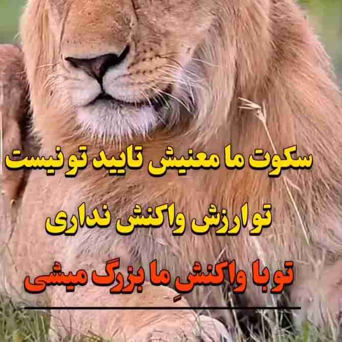 سکوت ما معنیش تایید تو نیست 
