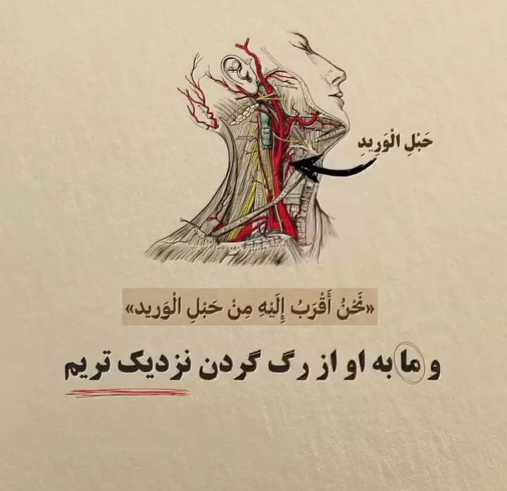 حرف حساب...