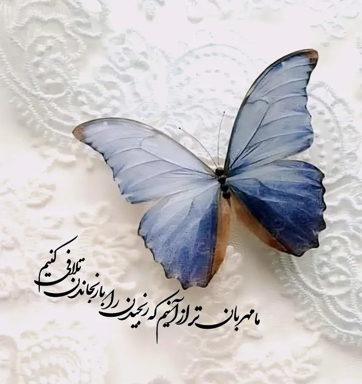 حرف حساب...